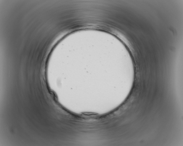 X0000113041283200910081203