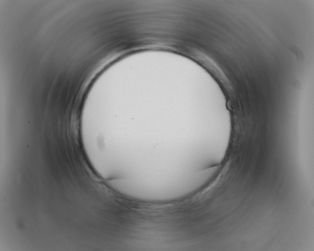 X0000113041284200910081203