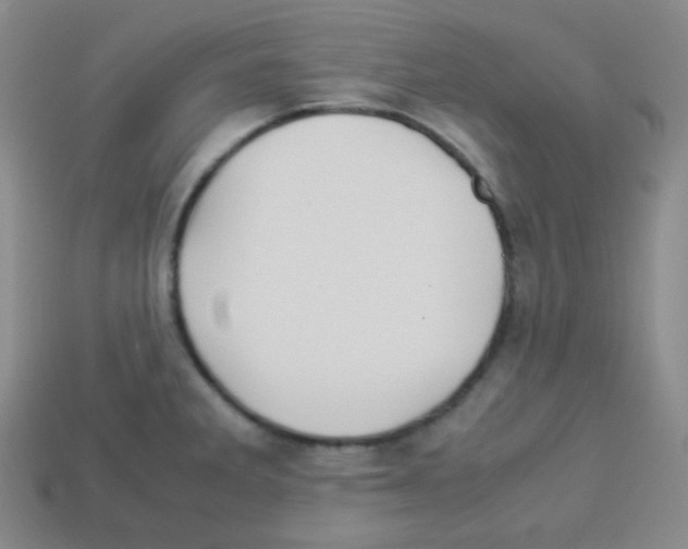 X0000113041285200910081203