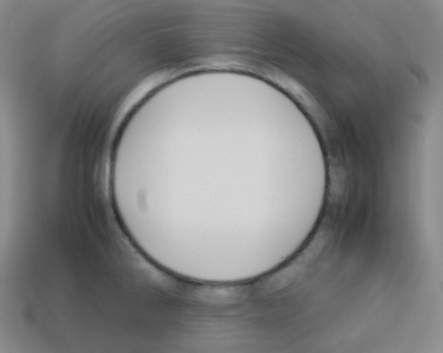 X0000113041286200910081203