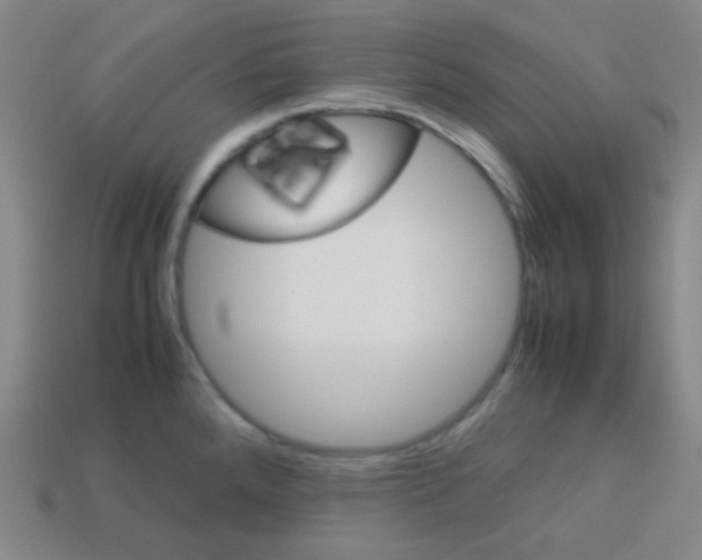 X0000113041288200910081203