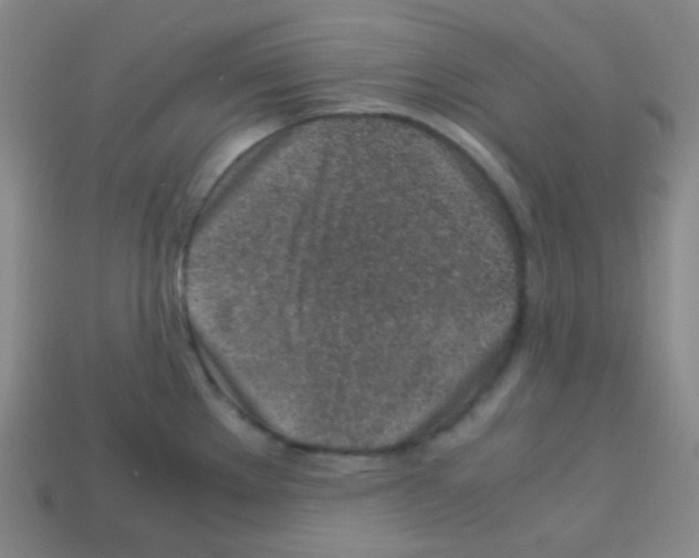 X0000113041289200910081203