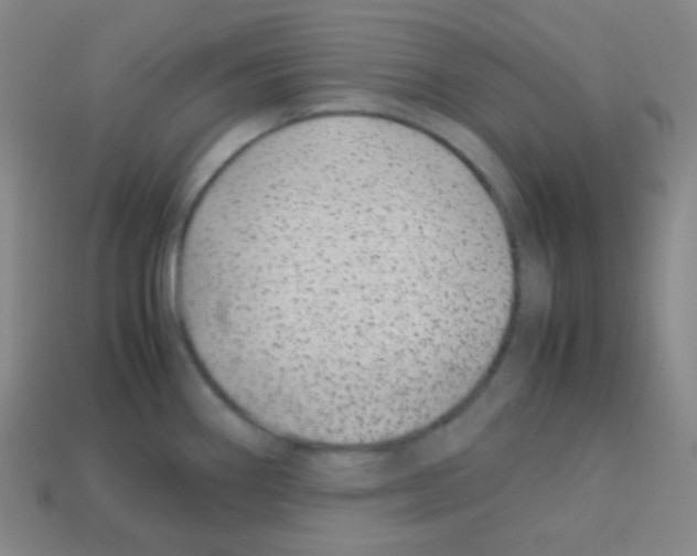 X0000113041290200910081203