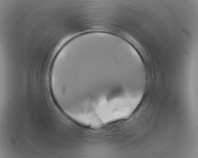 X0000113041291200910081203