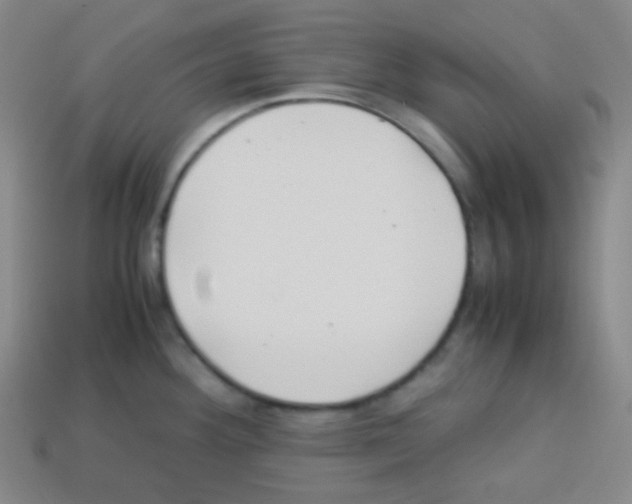 X0000113041292200910081203