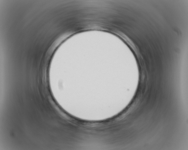 X0000113041293200910081203