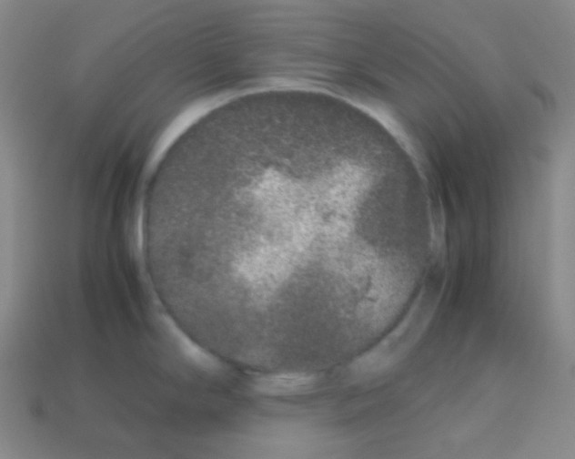 X0000113041294200910081203