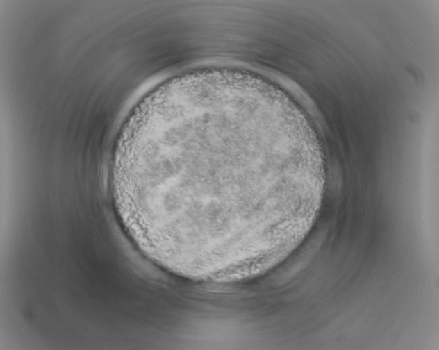 X0000113041295200910081203