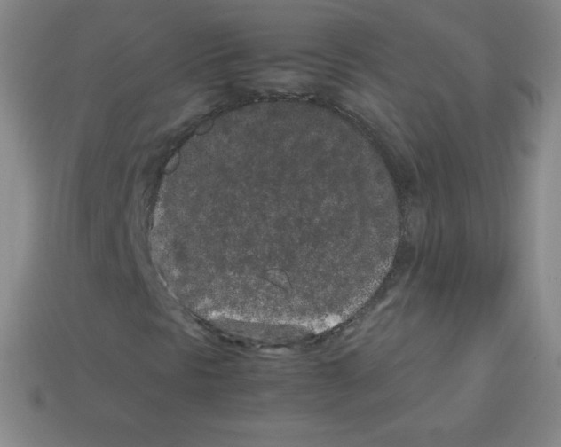 X0000113041297200910081203