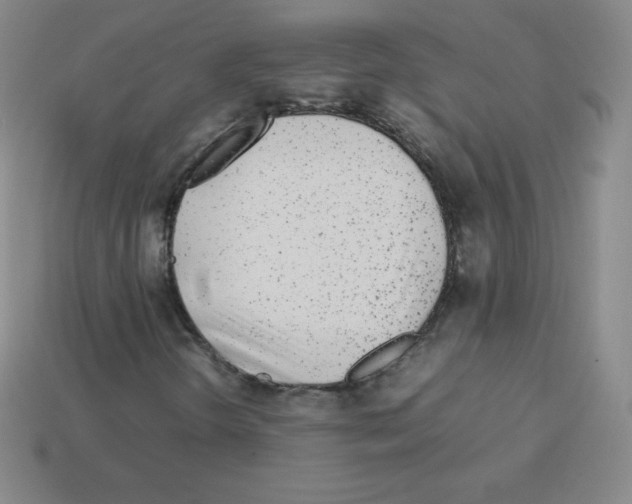 X0000113041298200910081203
