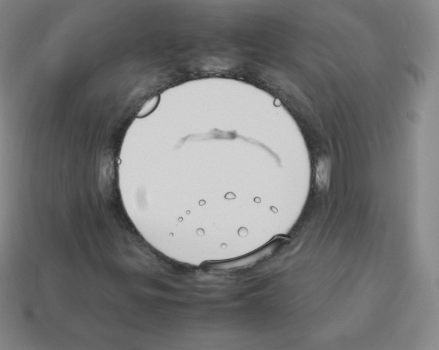 X0000113041299200910081203