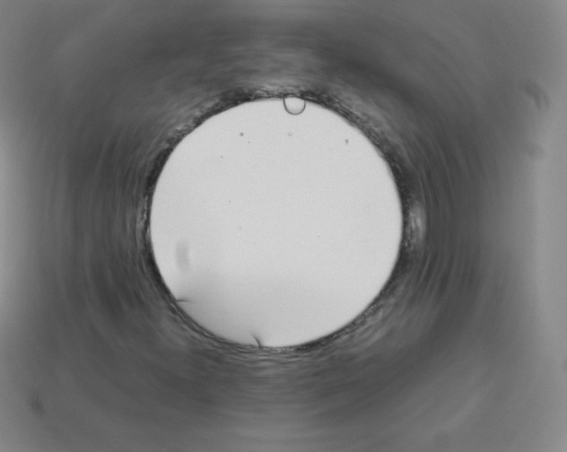 X0000113041300200910081203