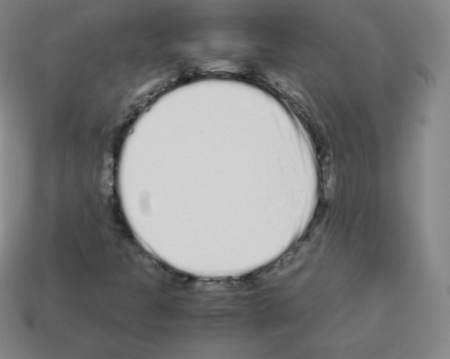 X0000113041301200910081203