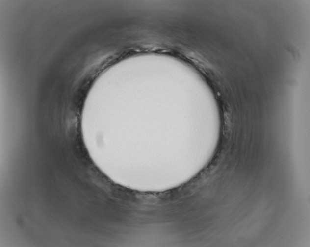 X0000113041302200910081203