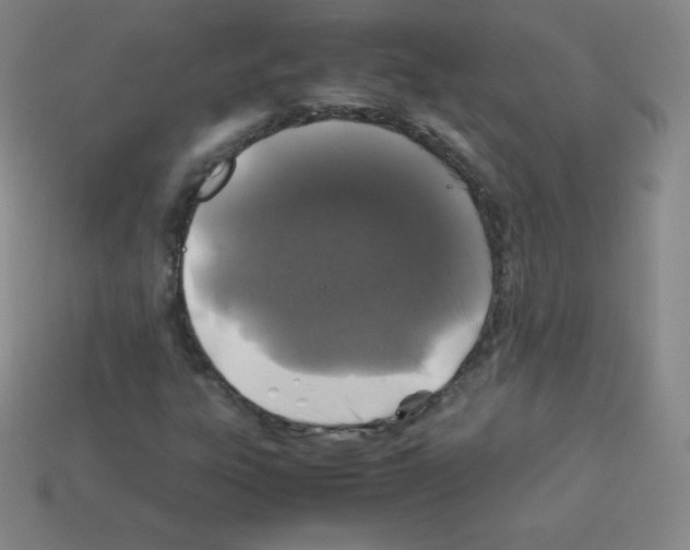 X0000113041303200910081203