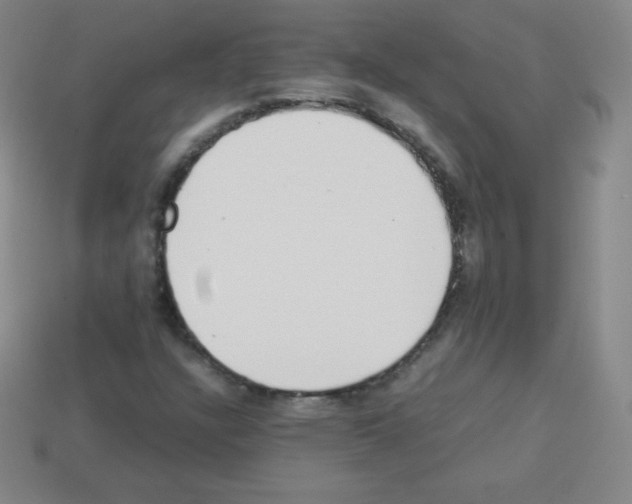 X0000113041304200910081203