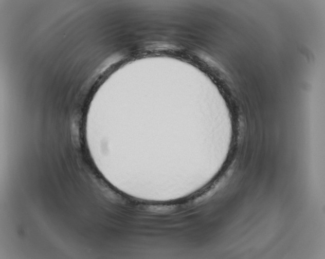 X0000113041305200910081203