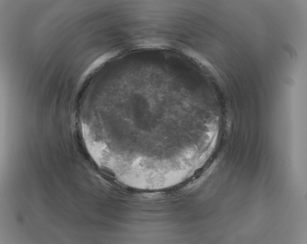 X0000113041306200910081203
