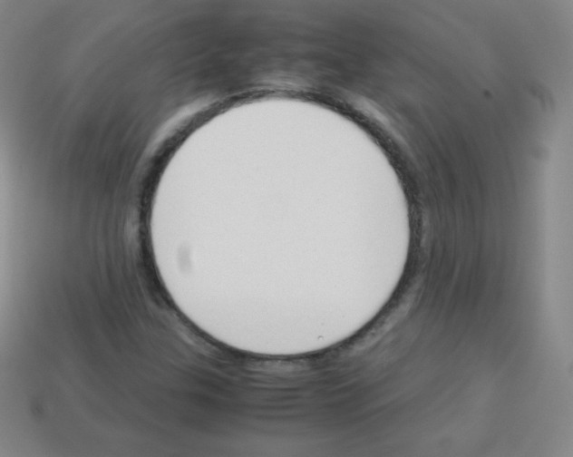 X0000113041307200910081203