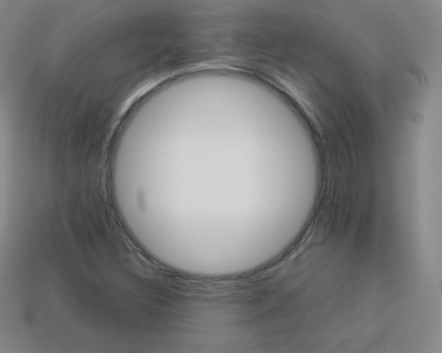 X0000113041308200910081203