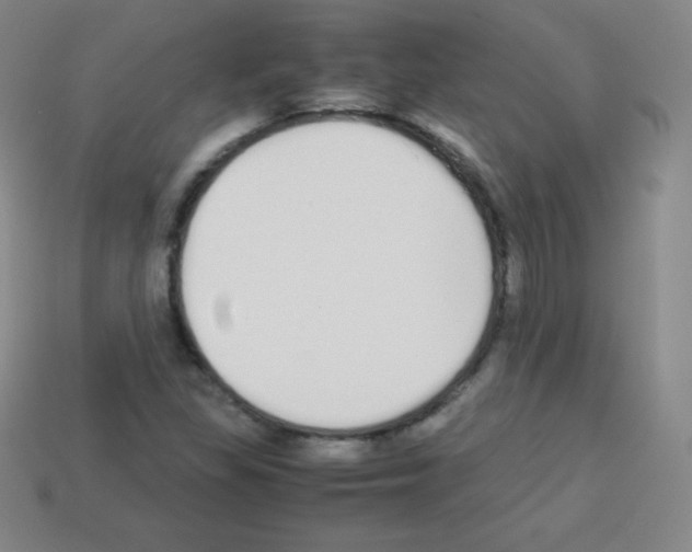 X0000113041309200910081203