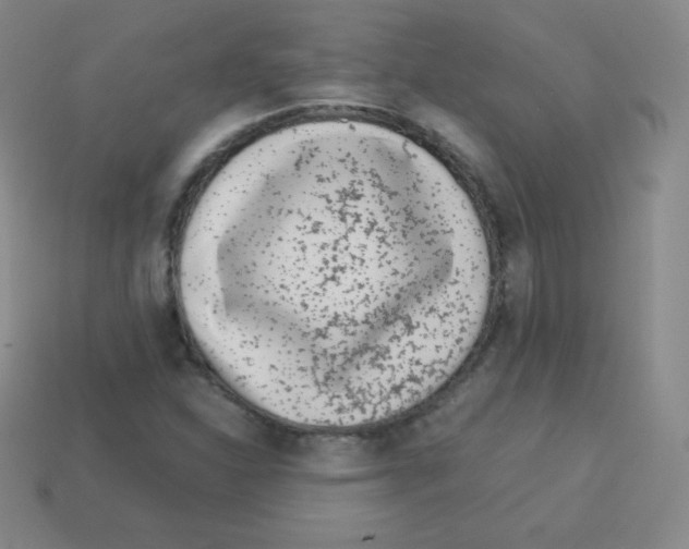 X0000113041310200910081203