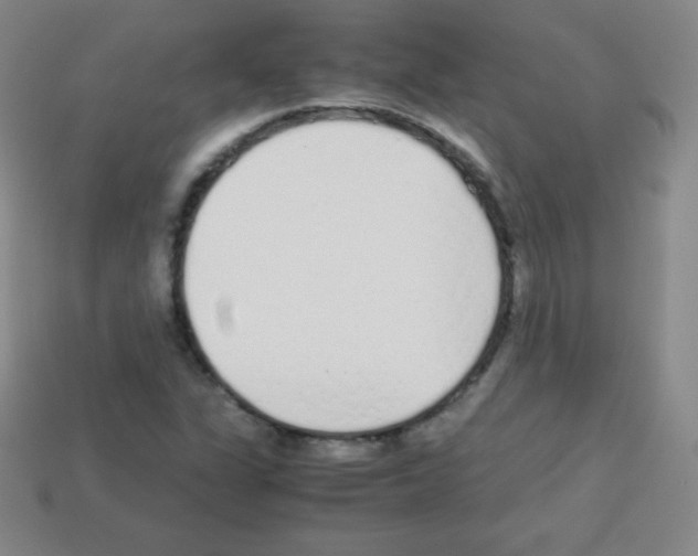 X0000113041311200910081203