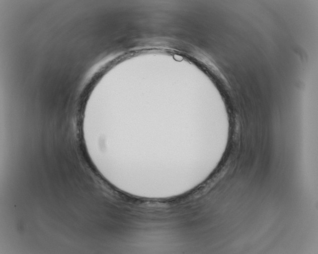 X0000113041312200910081203