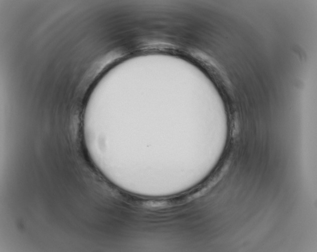 X0000113041313200910081203