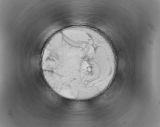 X0000113041314200910081203