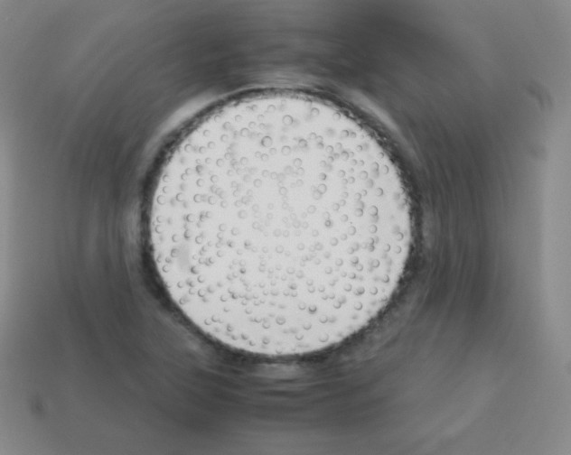 X0000113041315200910081203