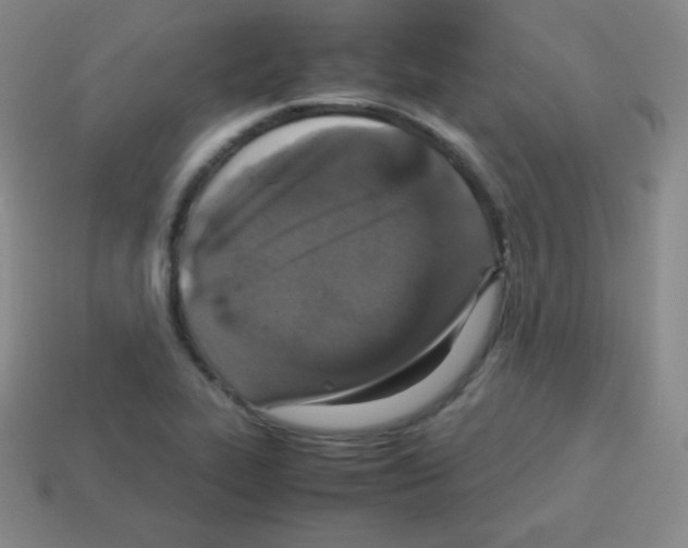 X0000113041319200910081203