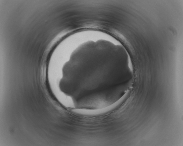 X0000113041323200910081203