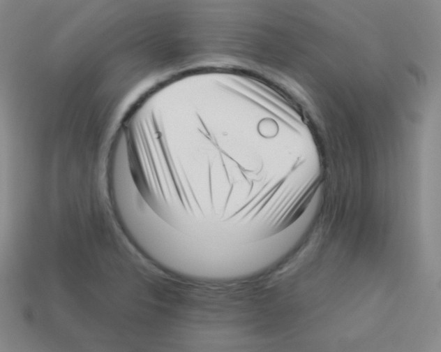 X0000113041326200910081203