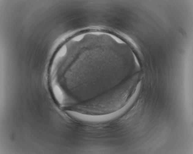 X0000113041327200910081203