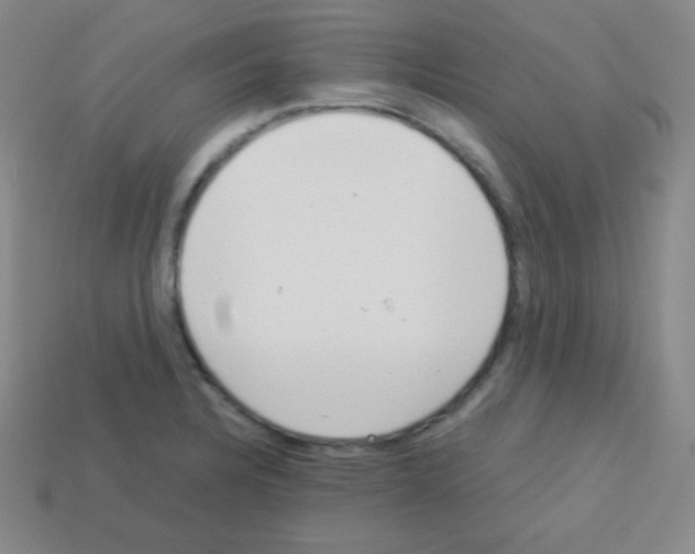 X0000113041328200910081203