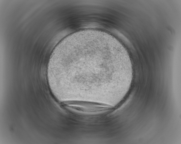 X0000113041329200910081203
