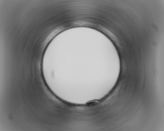 X0000113041330200910081203