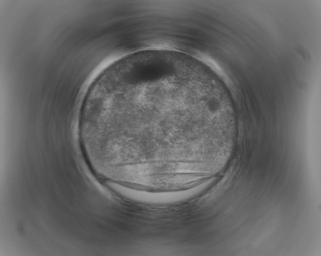 X0000113041331200910081203