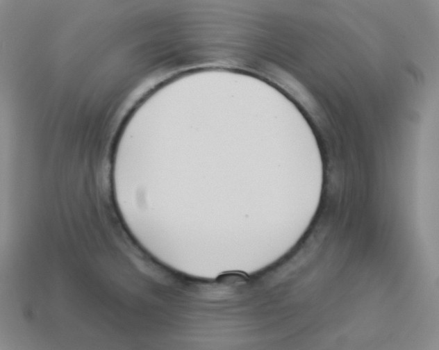X0000113041332200910081203