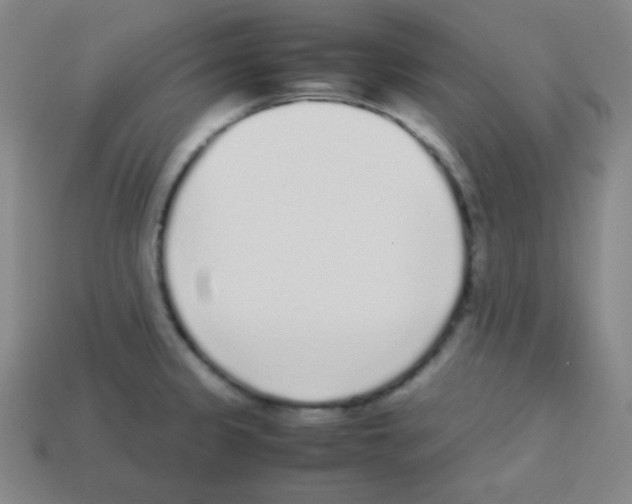X0000113041333200910081203