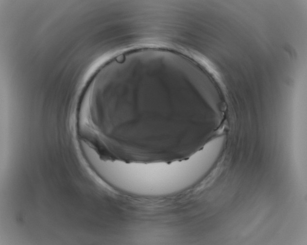 X0000113041334200910081203