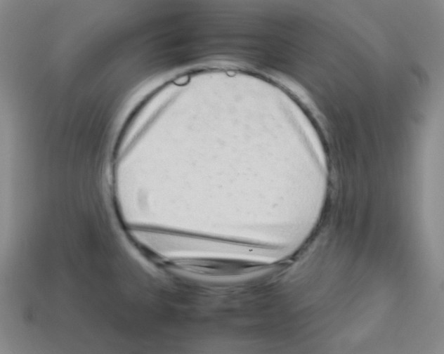 X0000113041335200910081203