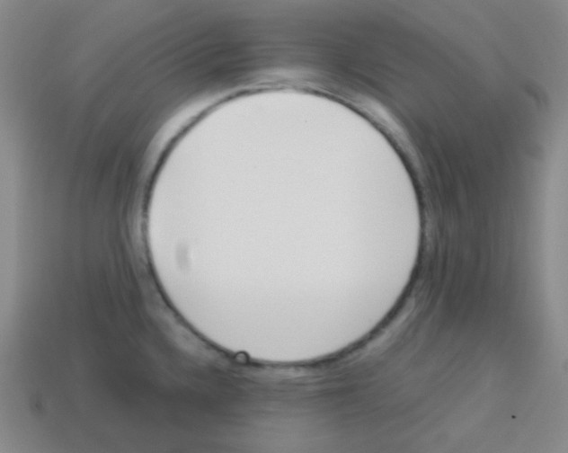 X0000113041336200910081203