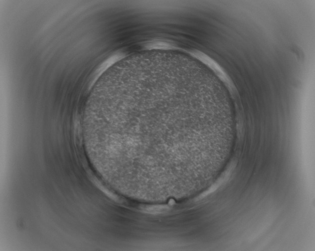 X0000113041337200910081203