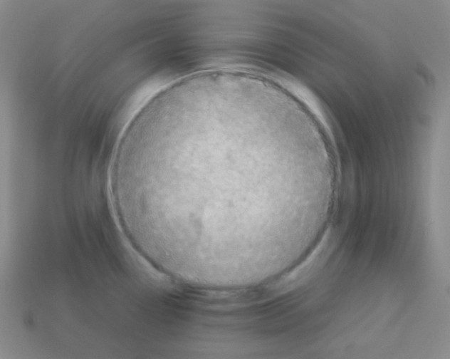 X0000113041338200910081203