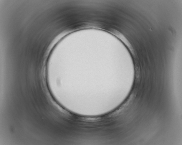 X0000113041339200910081203