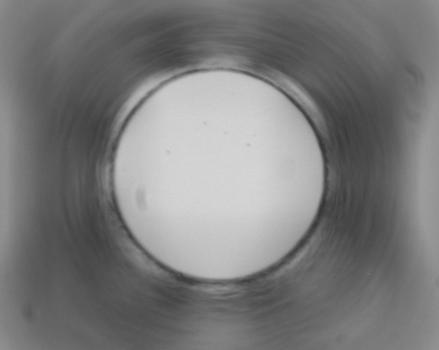 X0000113041340200910081203