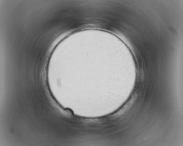 X0000113041341200910081203