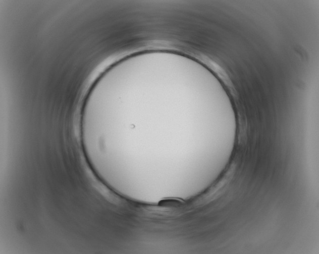 X0000113041342200910081203